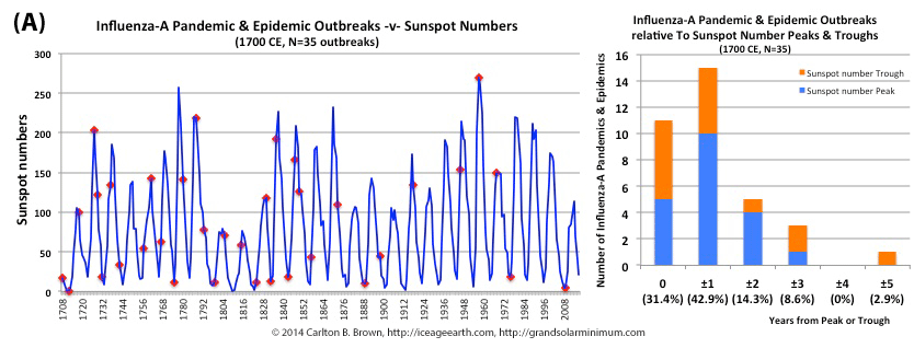 Pandemic influenza outbreaks bias sunspot number peaks and troughs